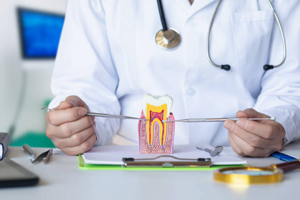 Best Orthodontic Emergency Dentist in Waxahachie, TX